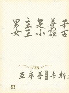 男主是养子爱上女主小说古言