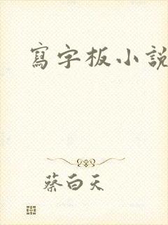 写字板小说