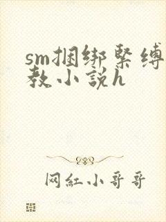 sm捆绑紧缚调教小说h