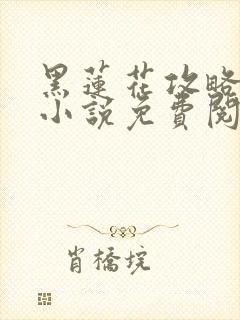 黑莲花攻略手册小说免费阅读全文封面