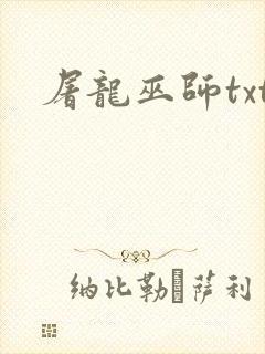 屠龙巫师txt