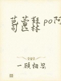 芭蕾鞋 po阿司匹林