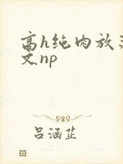 高h纯肉放荡h文np封面