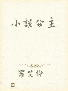 小说公主封面