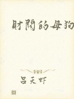 财阀的母狗们
