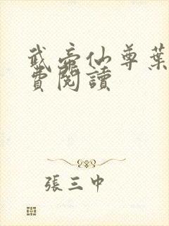 武帝仙尊叶辰免费阅读