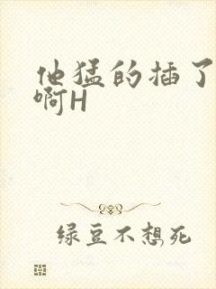 他猛的插了进去啊H