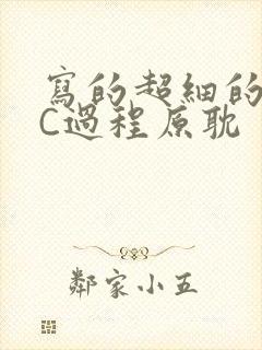 写的超细的多肉C过程原耽