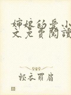 婶娘的爱小说全文免费阅读封面