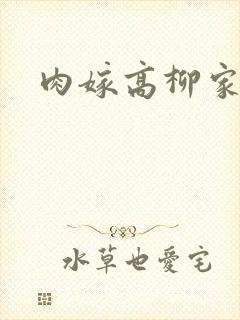 肉嫁高柳家2