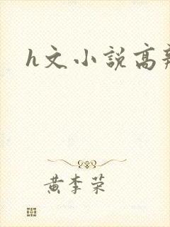 h文小说高辣文