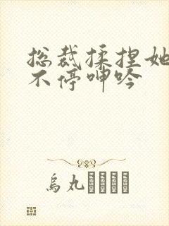 总裁揉捏她两乳不停呻吟