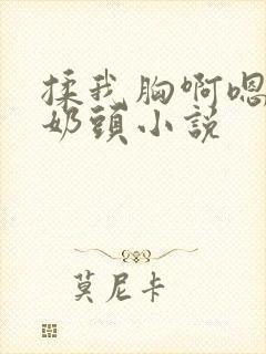 揉我胸啊嗯～吸奶头小说封面