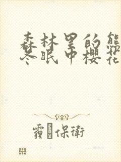 森林里的熊先生冬眠中樱花动漫