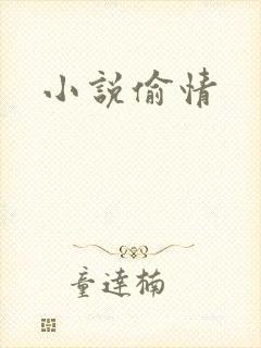 小说偷情封面