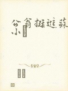 公翁挺进苏玥的小泬封面