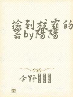 捡到校霸的遥控器by阳阳