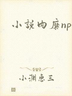 小说肉糜np