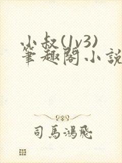 小叔(1v3)笔趣阁小说免费阅读笔趣阁最