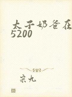 太子奶爸在花都5200