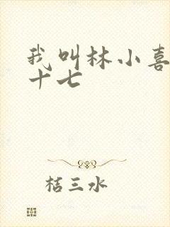我叫林小喜今年十七封面