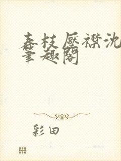 春枝压襟沈祈闻笔趣阁