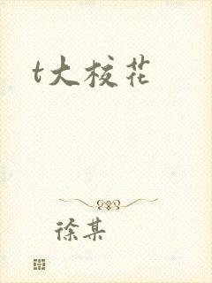 t大校花封面