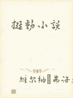 挺动小说
