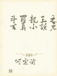 斗罗龙王之太极玄真小说免费阅读