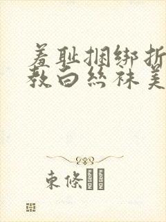 羞耻捆绑折磨调教白丝袜美女的小说