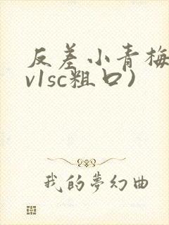 反差小青梅(1v1sc粗口)