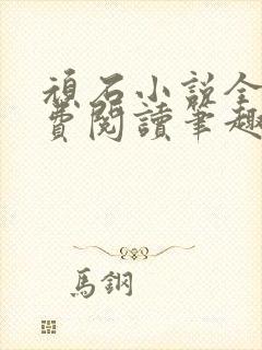 顽石小说全文免费阅读笔趣阁