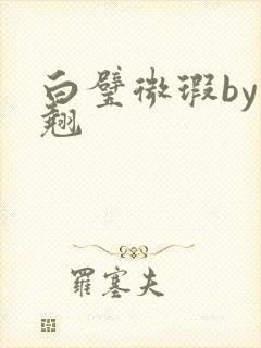 白璧微瑕by连翘