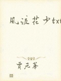 风流花少txt封面