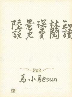 陆景琛林知瑜小说免费阅读最新章节