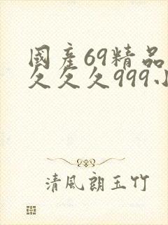 国产69精品久久久久999小说