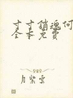 寸寸销魂何生祥全本免费