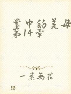 掌中的美母版主第14章