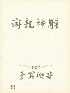 游龙神雕封面