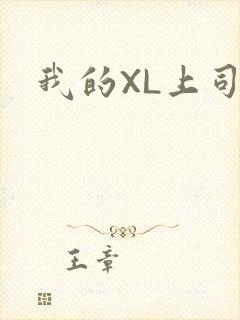 我的XL上司