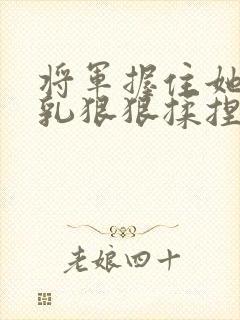 将军握住她的双乳狠狠揉捏小说