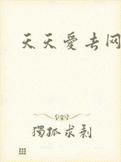天天爱去网