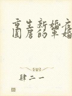 重生新婚夜正在圆房的军婚