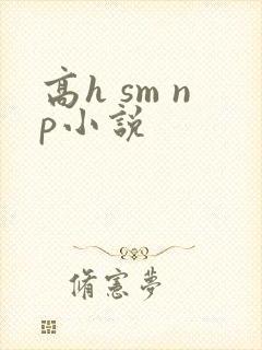 高h sm np小说