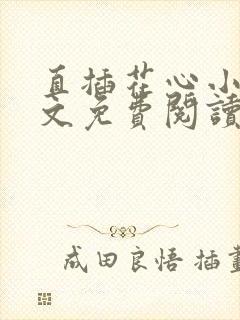 直插花心小说全文免费阅读最新章节封面