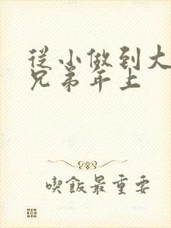 从小做到大骨科兄弟年上封面