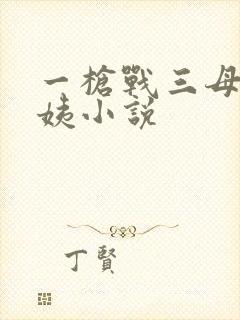 一枪战三母2雪姨小说
