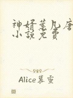 神婿叶凡唐若雪小说免费封面