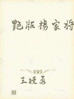 艳版杨家将封面