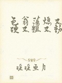 色翁荡熄又大又硬又粗又动态图